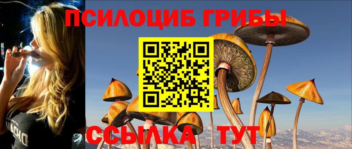 Кстово  Галлюциногенные грибы Psilocybe  Вход с VPN 